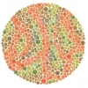 Color-blindness Tests