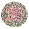 Color-blindness Tests