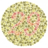 Color-blindness Tests