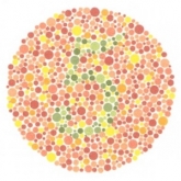 Renk Körlüğü Testi
