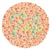 Renk Körlüğü Testi